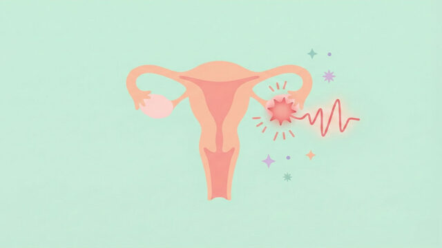 Illustration av livmoder och äggstock med markerad smärta vid ägglossning, symboliserad med röd pulserande effekt.