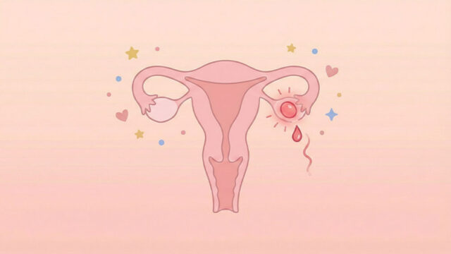 Illustration av livmoder och äggstock med liten bloddroppe som symboliserar ägglossningsblödning under menscykeln.