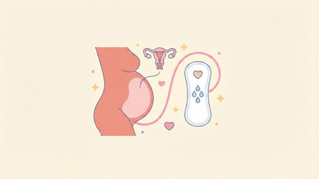 Illustration som visar gravid mage, livmoder och trosskydd som symboliserar normala flytningar under graviditet.
