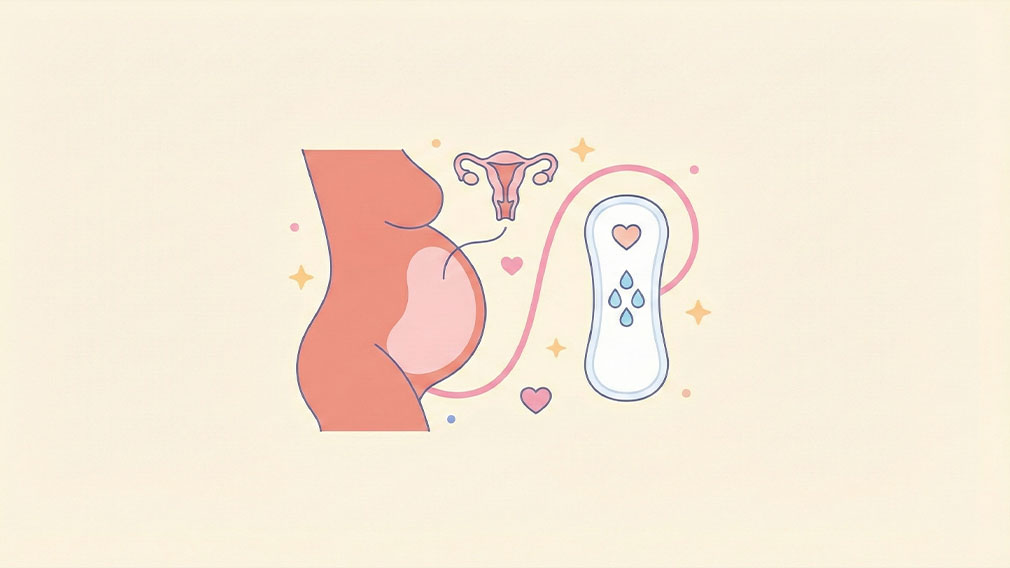 Illustration som visar gravid mage, livmoder och trosskydd som symboliserar normala flytningar under graviditet.